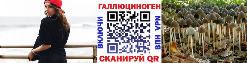 Галлюциногенные грибы Magic Shrooms Горняк
